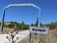 Narıncalı Pıtrak Mahallesiyle İlgili Yeni Kararlar