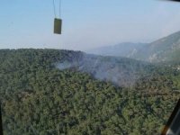 Milas’taki Orman Yangını Kontrol Altına Alındı