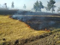 Anız Yangını Ormana Sıçradı