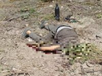 Devrilen Traktörün Altında Can Verdi