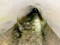 Su Borusunda Mahsur Kalan Yavru Köpeği İtfaiye Kurtardı