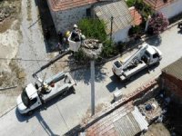 Annelerini Kaybeden Leylek Yavrularını Elleriyle Besliyorlar