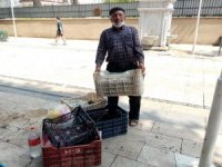 Korona Virüs Kiraz Üreticisini De Vurdu