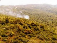 Marmaris’teki Orman Yangını Büyümeden Söndürüldü