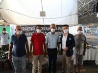 Bodrum’da Üretici Pazarı Açıldı