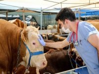 Buca’nın Kurban Pazarları Denetlendi