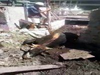 Düştüğü Bataklıktan İtfaiye Kurtardı