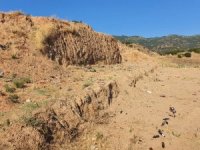 Duyarsız Vatandaşların Bıraktığı Çöpler Tehlike Saçıyor