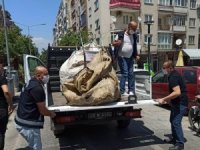 Kağıt Toplayıcılarına Pandemi Uyarısı