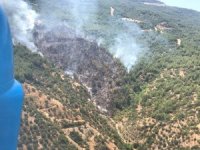 Efeler Yeniköy’de Orman Yangını