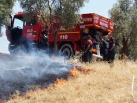 Aydın’da 4 Dönüm Zeytinlik Alan Yangında Zarar Gördü