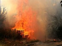 Paletlerden Çıkan Yangın Deponun Çatısına Sıçradı