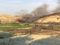 Laodikya’ya Sıçrayan Anız Yangınında 40 Dekar Alan Zarar Gördü