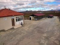 Aslanapa Canlı Hayvan Pazarı Hergün Açık Olacak