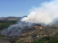 Milas’taki Yangın Kontrol Altına Alındı