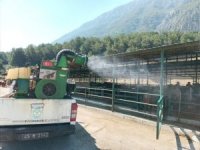 Canlı Hayvan Borsasında Sinek Ve Haşerelere Karşı Önlem