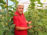 Fransa’da Gördü, Alaşehir’de Uyguladı