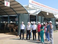 Denizli’de Kurban Bayramı Tedbirleri Alındı