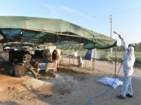 Çiğli’de Hayvan Pazarları Dezenfekte Edildi