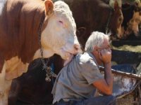 Bayraklı Belediyesi Kurban Bayramına Hazır