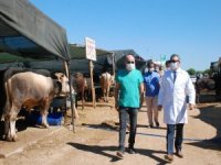 İzmir’de Kurban Satış Yeri Denetimleri Sürüyor