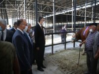 Bir Ton 500 Kilogram Ağırlığındaki Kurbanlık 29 Bin Tl’ye Satıldı