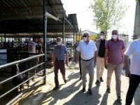 Başkan Atay, Hayvan Pazarlarını Denetledi