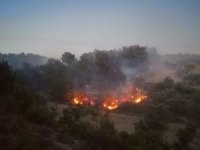 Soma’da Orman Yangını: 1 Uçak, 5 Helikopter Havadan Müdahale Ediyor