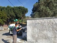 Fedakar Muhtar, Köyünü Bayrama Böyle Hazırladı