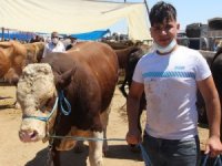 Hayvan Pazarlıkları Kızıştı