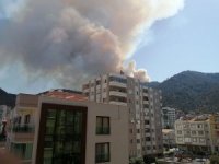 İzmir’in Balçova İlçesinde Orman Yangını Çıktı. 2 Helikopter Ve 5 Arazözle Yangına Müdahale Edilirken, Dumanlar Kilometrelerce Uzaktan Bile Görülüyor.