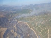 İzmir’de Otluk Alanda Yangın