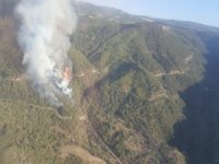 Turgutlu’da Orman Yangını