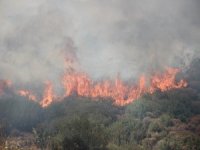 İzmir’deki Yangınların Ardından İtfaiye Personellerinin İzinleri Kaldırıldı