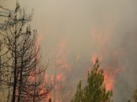 Dumandan Etkilenen Görevli Canı Pahasına Alevlerle Mücadele Ediyor