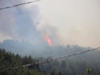 Menderes’teki Yangını Söndürme Çalışmaları Sürüyor