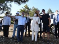 Vali Kocabıyık, Yangında Yanan Ormanlık Alanı Yerinde İnceledi