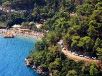 Araçların Ucu Bucağı Yok