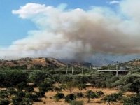 Aydın’da Arazi Yangını