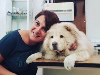 Evcil hayvanınızla uyumak güvenli mi?