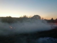 Aliağa’da ormanı “keyfi” için yakan şüpheli tutuklandı