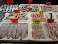 Balık fiyatları yarı yarıya düştü