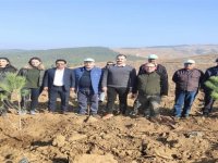 Kınık’ta Fidanlar Toprakla Buluştu