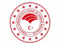 Türk Gıda Kodeksi Gıda Katkı Maddeleri Yönetmeliği Güncellendi