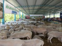 Madenci Ailelere Can Suyu Olacak