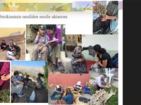 Prof. Dr. Öztürk “ Bitkisel tıbbi ürünlere ‘masum’ gözüyle bakılmamalı”