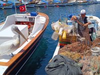 Foça'da Pelikanlar Vatandaşla Dost Balıkçıyla Arkadaş