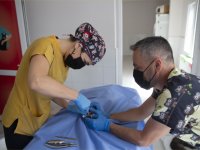 Konak’ta bir ilk: Kedilere diş çekimi