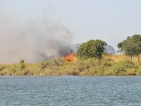 Aliağa'daki otluk alandaki yangın kontrol altına alındı