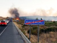 Aliağa'daki otluk alandaki yangını kontrol altına alındı